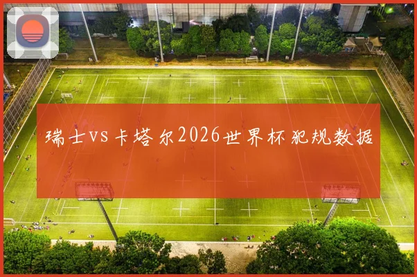 瑞士vs卡塔尔2026世界杯犯规数据