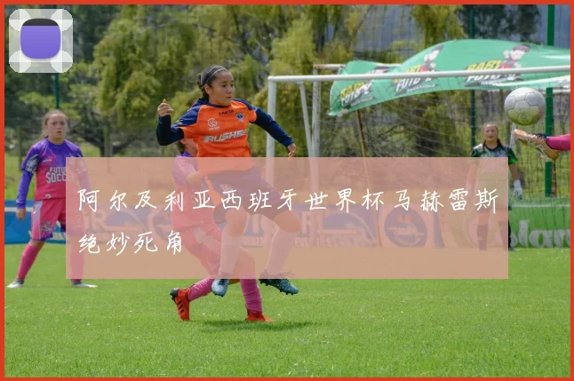 阿尔及利亚西班牙世界杯马赫雷斯绝妙死角