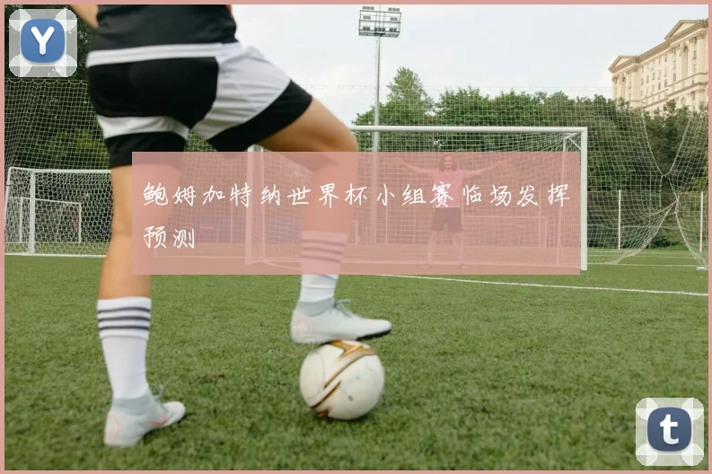 鲍姆加特纳世界杯小组赛临场发挥预测