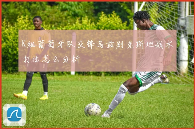 K组葡萄牙队交锋乌兹别克斯坦战术打法怎么分析