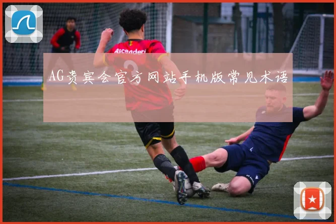 AG贵宾会官方网站手机版常见术语