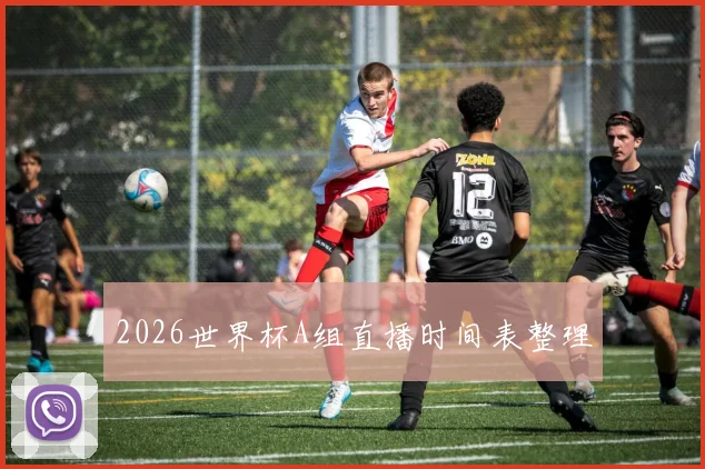 2026世界杯A组直播时间表整理